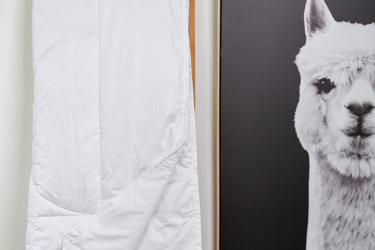 The South Island Secret: Alpaca Wool in Eiderdown's Bedding Collection