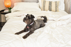 Wool 500gsm Winter Weight Machine Washable Quilt