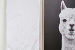 Alpaca 150gsm Summer Weight Quilt