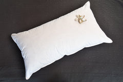 25% Hungarian Duck Down Pillow