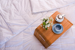 Hungarian Goose Down Four Seasons Quilt